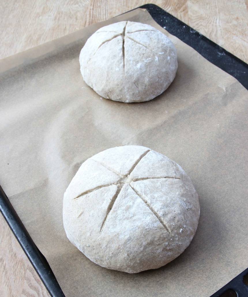 3. Lägg brödbullarna på en plåt med bakplåtspapper. Skär några snitt i ytan med en vass kniv. Strö över lite mjöl. Låt dem jäsa under bakduk i ca 30 min. Sätt ugnen på 225 min.