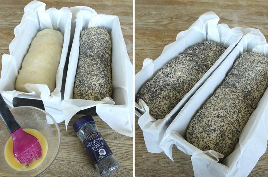 4. Pensla ytan med ägg och strö över vallmofrön. Låt bröden jäsa under bakduk i ca 30 min. Sätt ugnen på 250 grader.