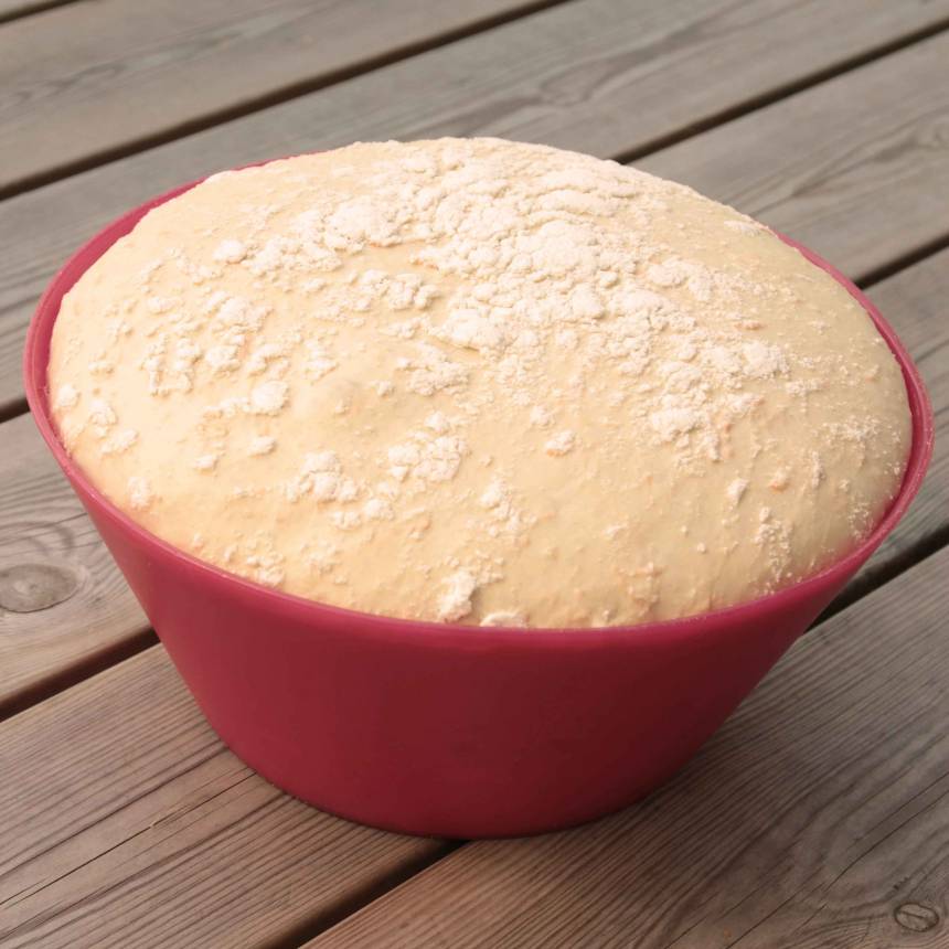 2. Smula jästen i en bunke och tillsätt vattnet. Blanda tills jästen lösts upp. Tillsätt olja, salt, morötter och rågsikt. Rör om. Tillsätt vetemjölet, lite i taget, och knåda ihop allt till en smidig deg. Knåda degen kraftigt i några minuter. Låt degen jäsa under bakduk i ca 1 tim.