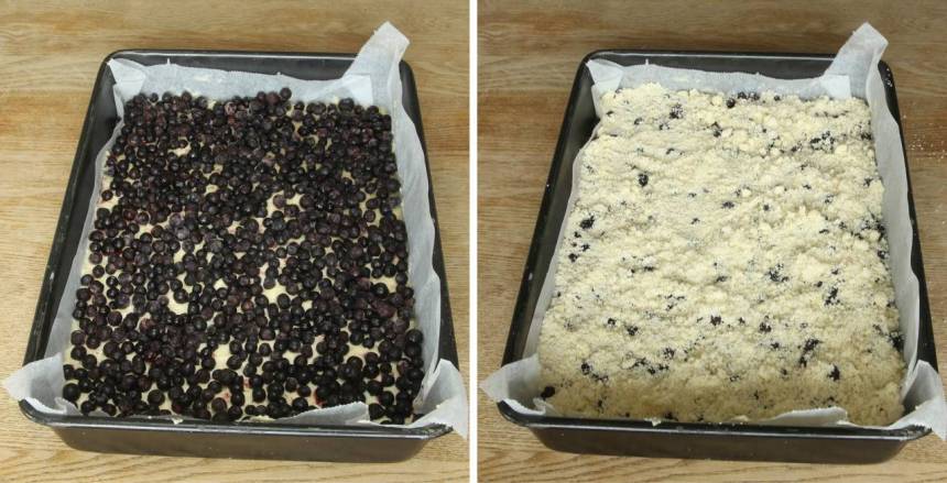 5. Strö blåbären jämnt över kakan. (Pudra eventuellt över lite strösocker). Strö över smuldegen från den andra bunken.