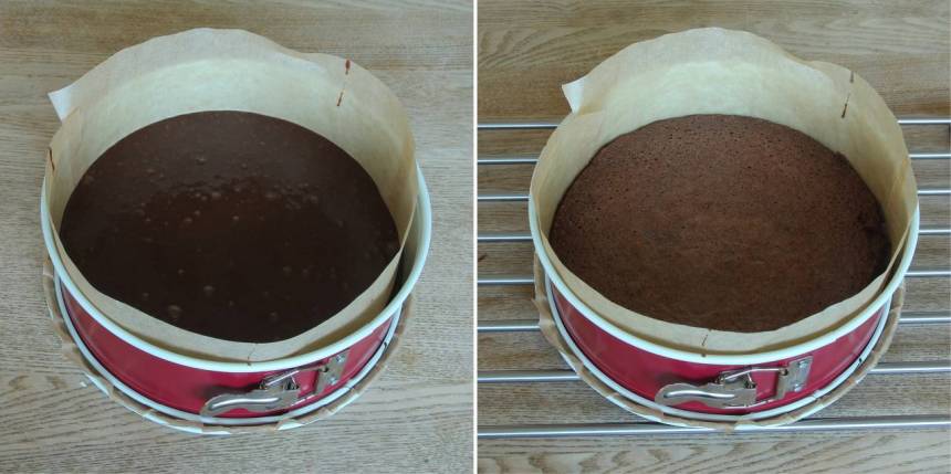 2. Klä botten och kanten på en springform, 23–24 cm i diameter, med bakplåtspapper. Häll smeten i formen. Grädda bottnen mitt i ugnen i 22–24 min. Låt den kallna helt i formen.
