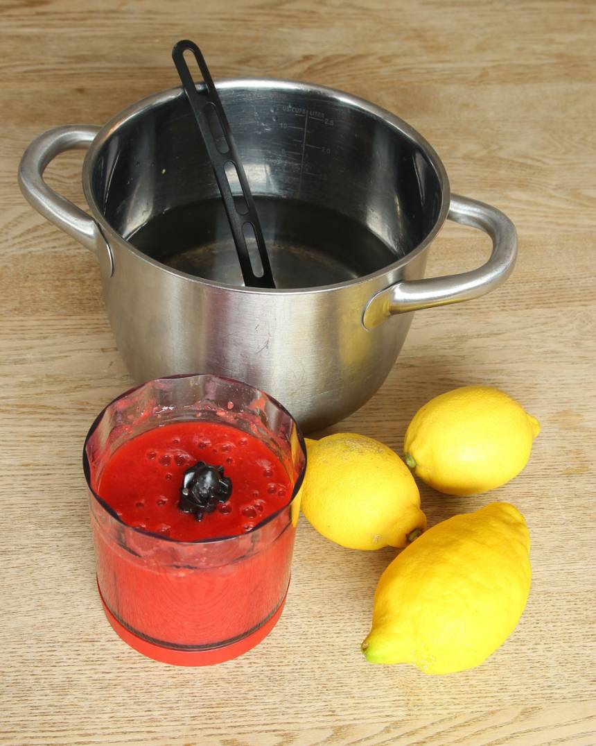 2. Blanda vatten, de mixade jordgubbarna och pressa ner citronsaft från citronerna. (Bestäm själv hur mycket citronsmak du vill ha, tillsätt lite i taget).