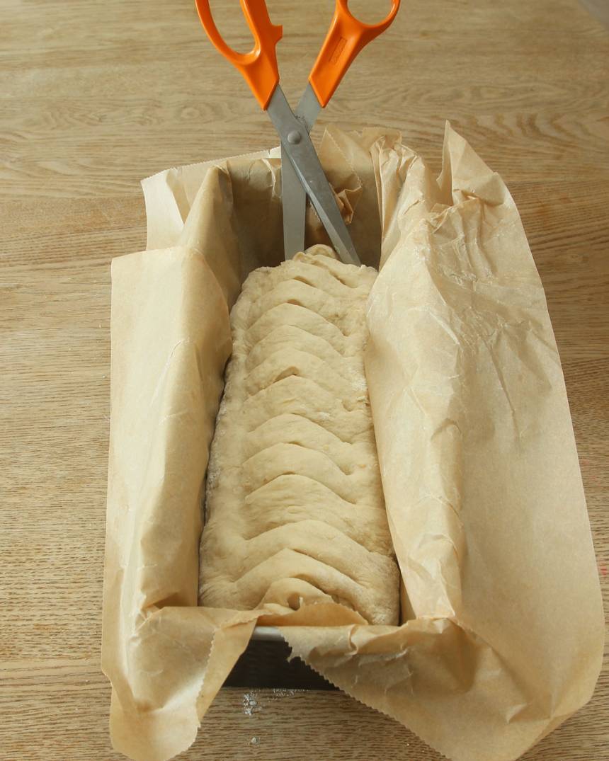3. Klipp djupa snitt i degen med en sax eller skär djupa snitt med en kniv.