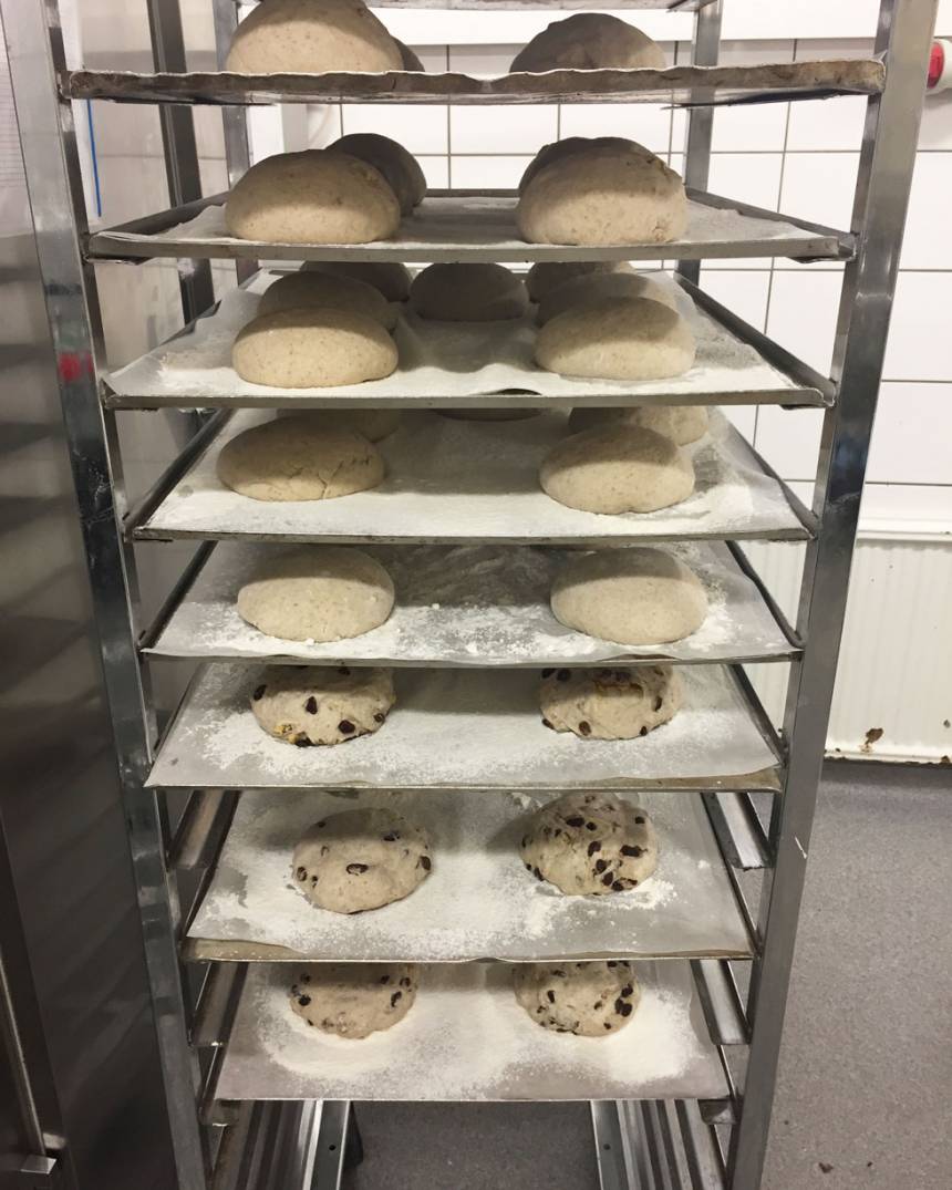 Flera olika sorters bröd på jäsning.
