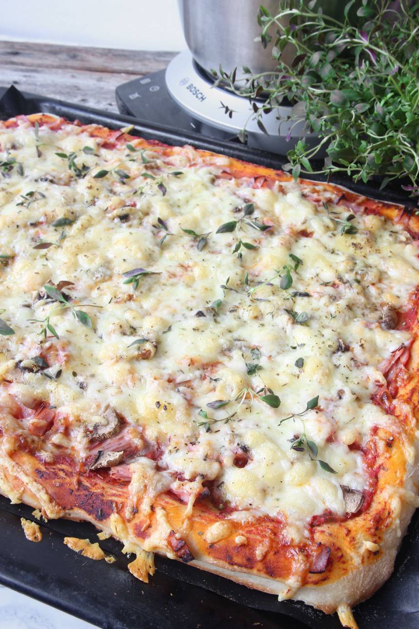 pizzadegbosch6